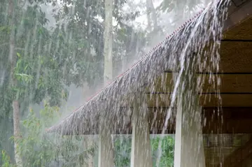 rains