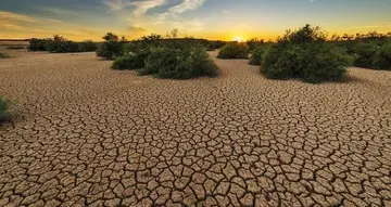 drought