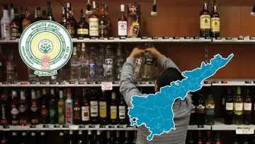ap govt