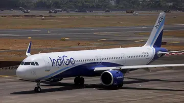 indigo
