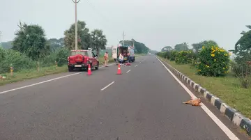 accident
