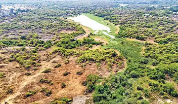 land