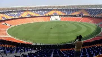 cricket