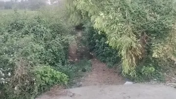 road
