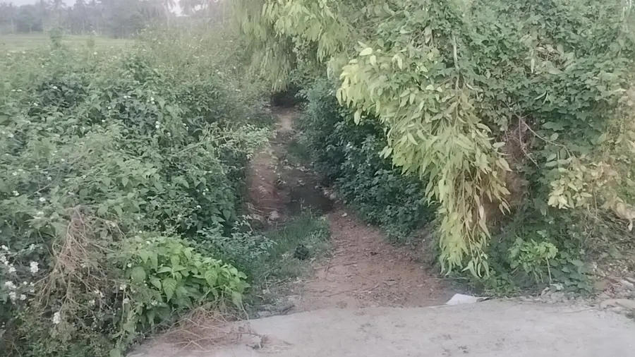 road