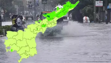 ap