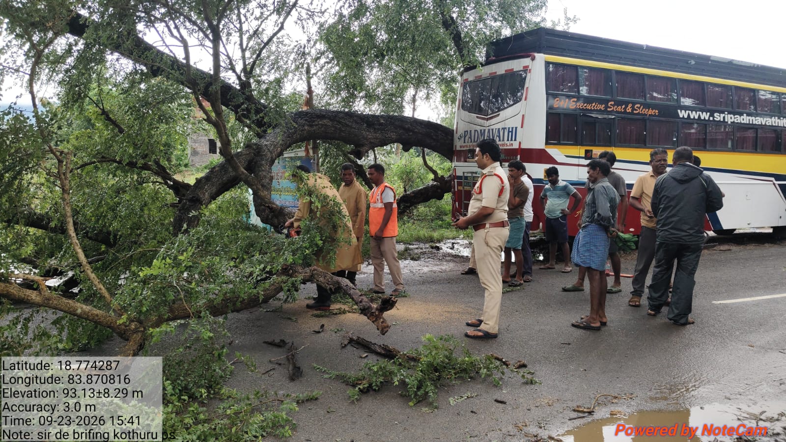 కూలిన భారీ వృక్షం image 1
