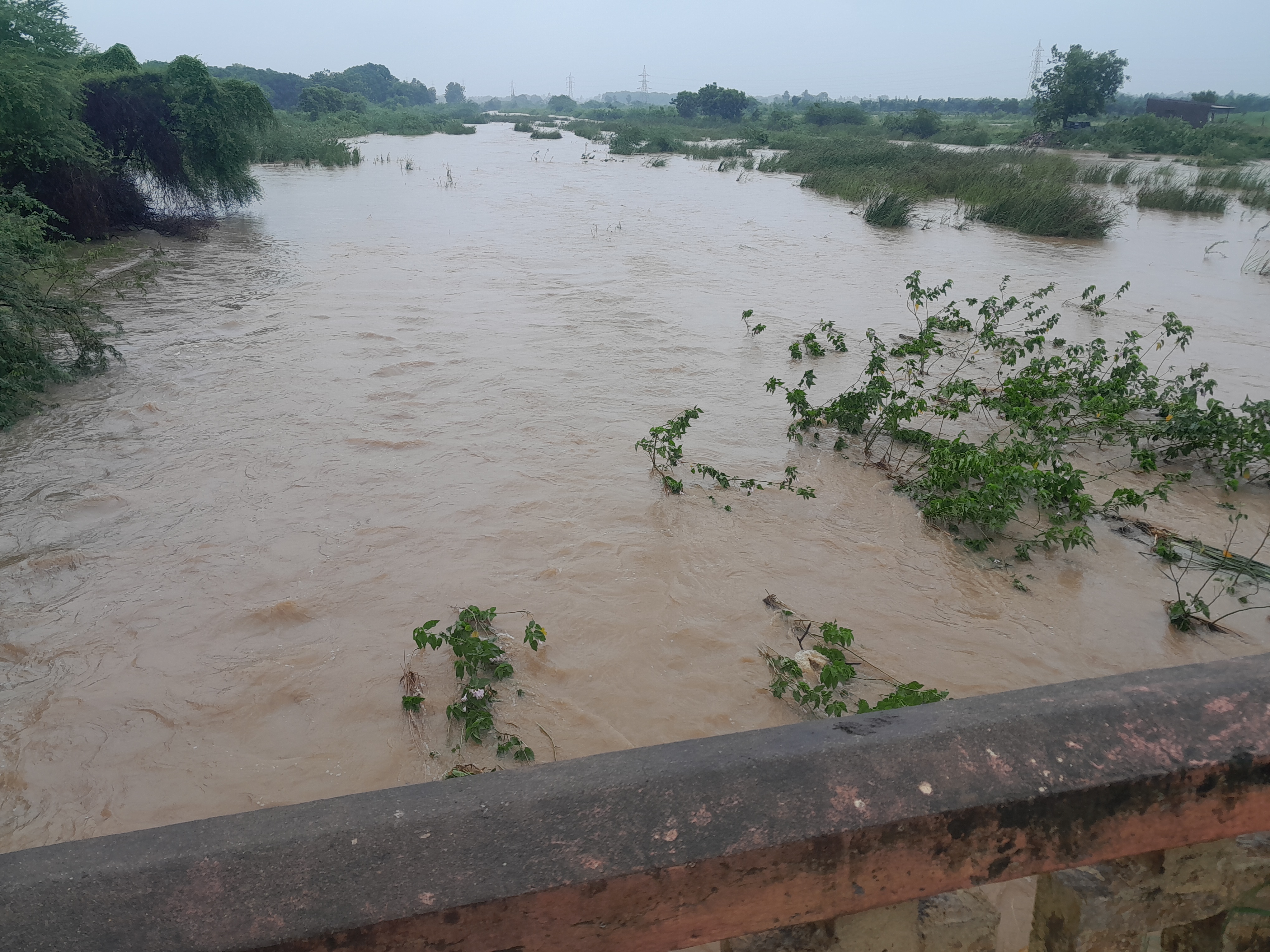 పొంగి ప్రవహిస్తున్న బుడమేరు image 1