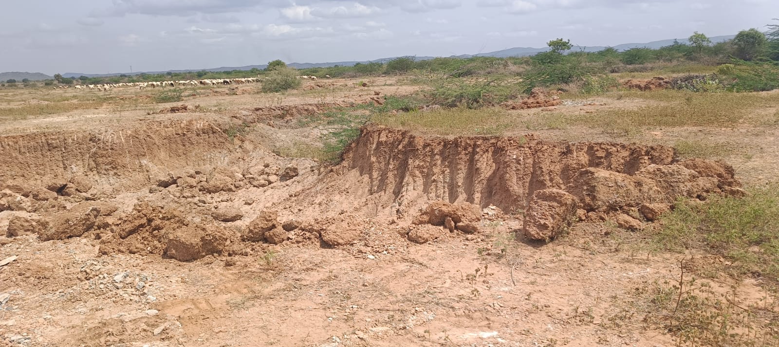 prakasam