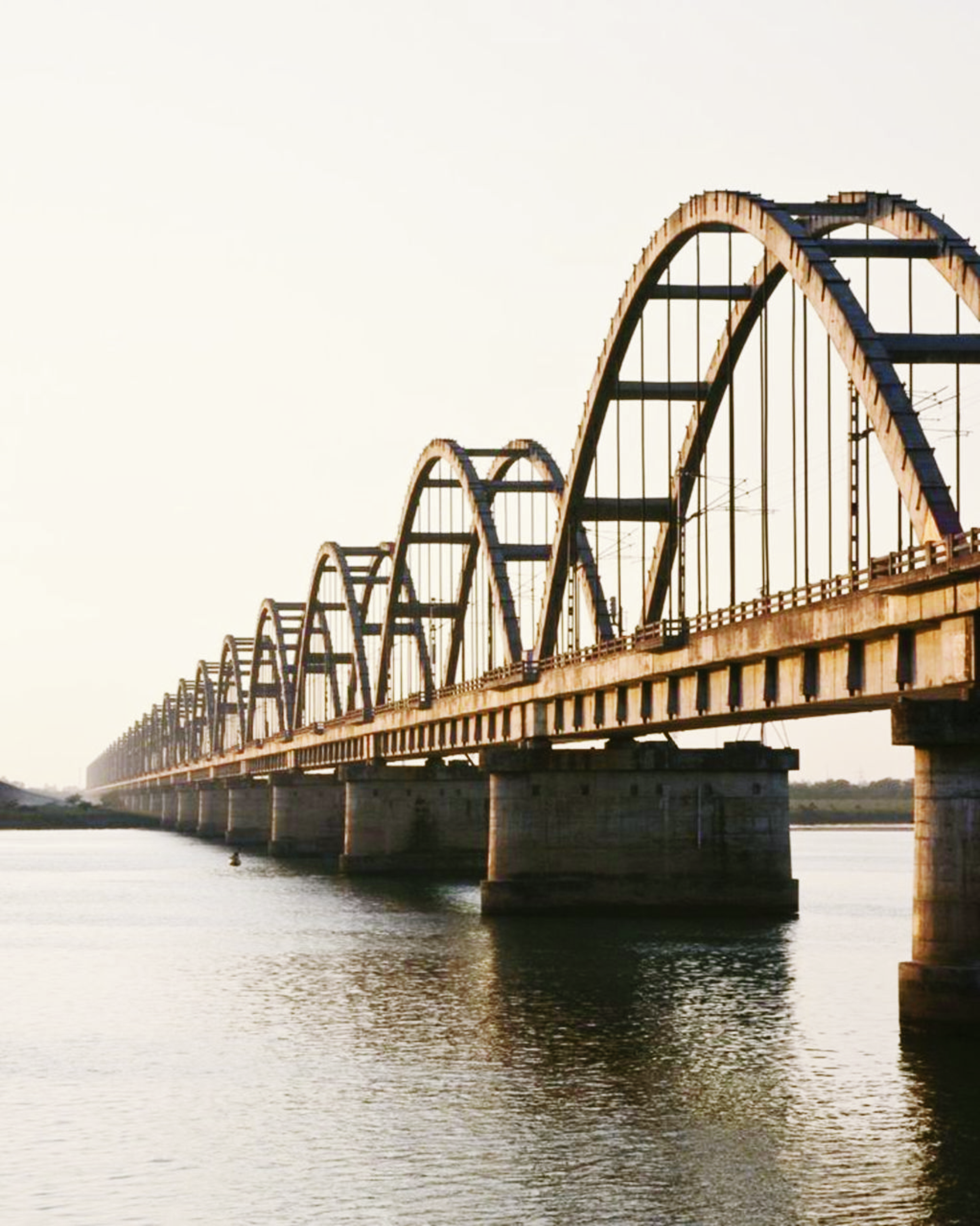 An enchanting excursion in the lap of the Godavari.