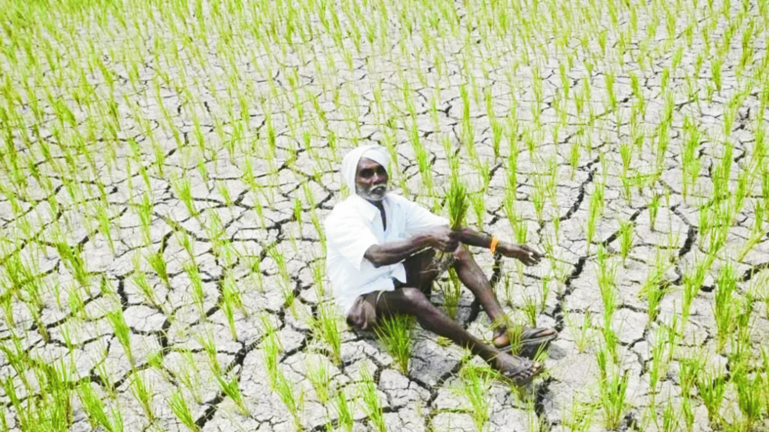 farmers