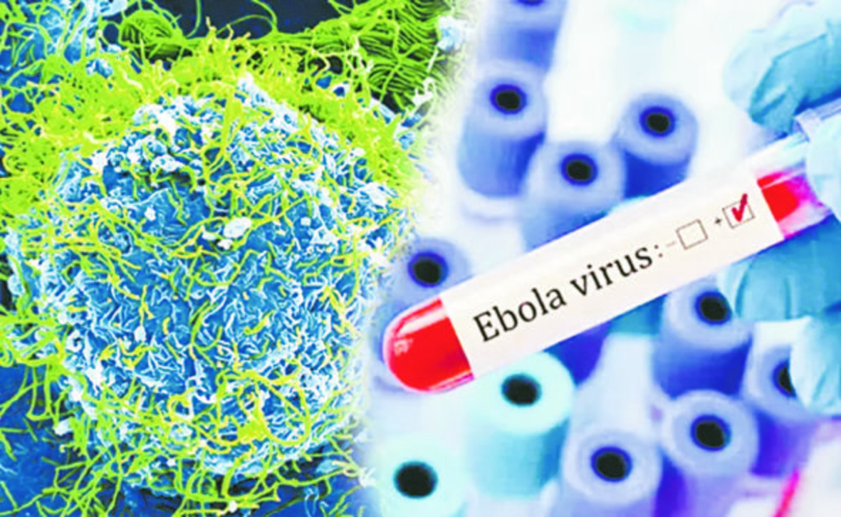 ebola