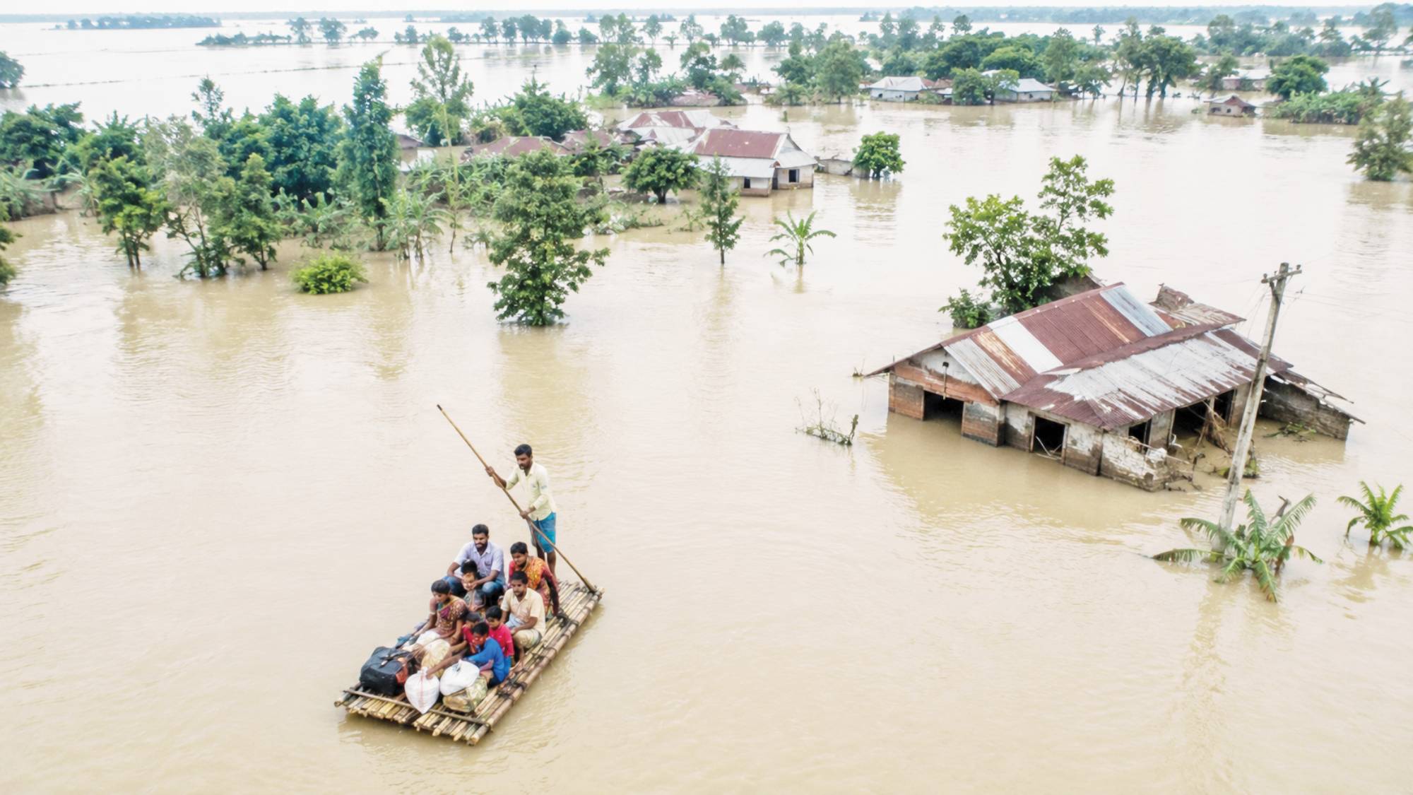 assam.
