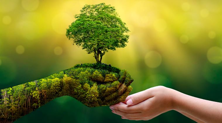 GREEN INDIA