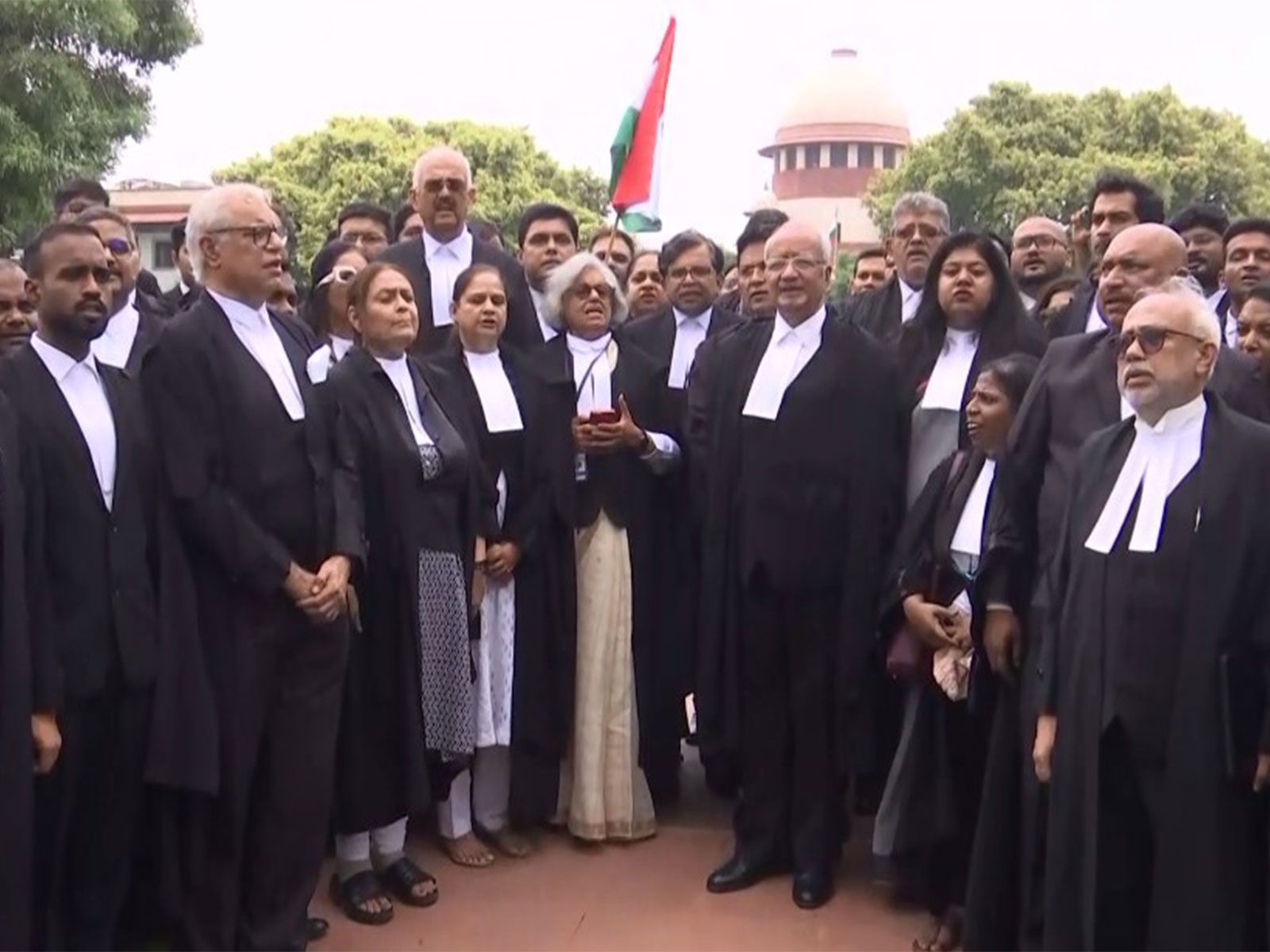 SC lawyers