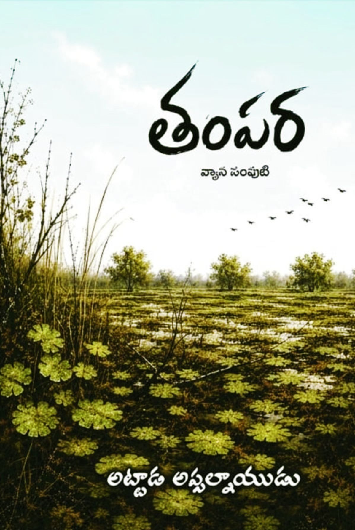 TAMPARA