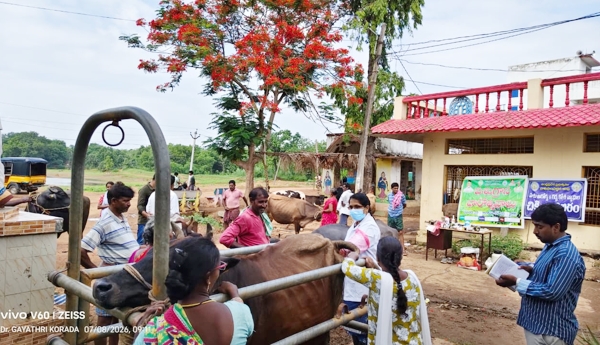 Fodder Awareness Week Celebrations in Ballanki Village