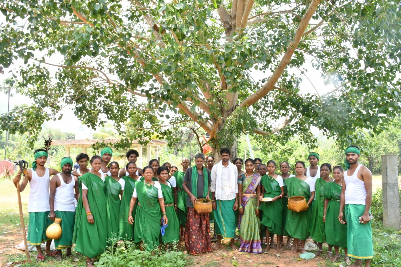 గిరిజన సాంప్రదాయంలో పెళ్లి వేడుకలు