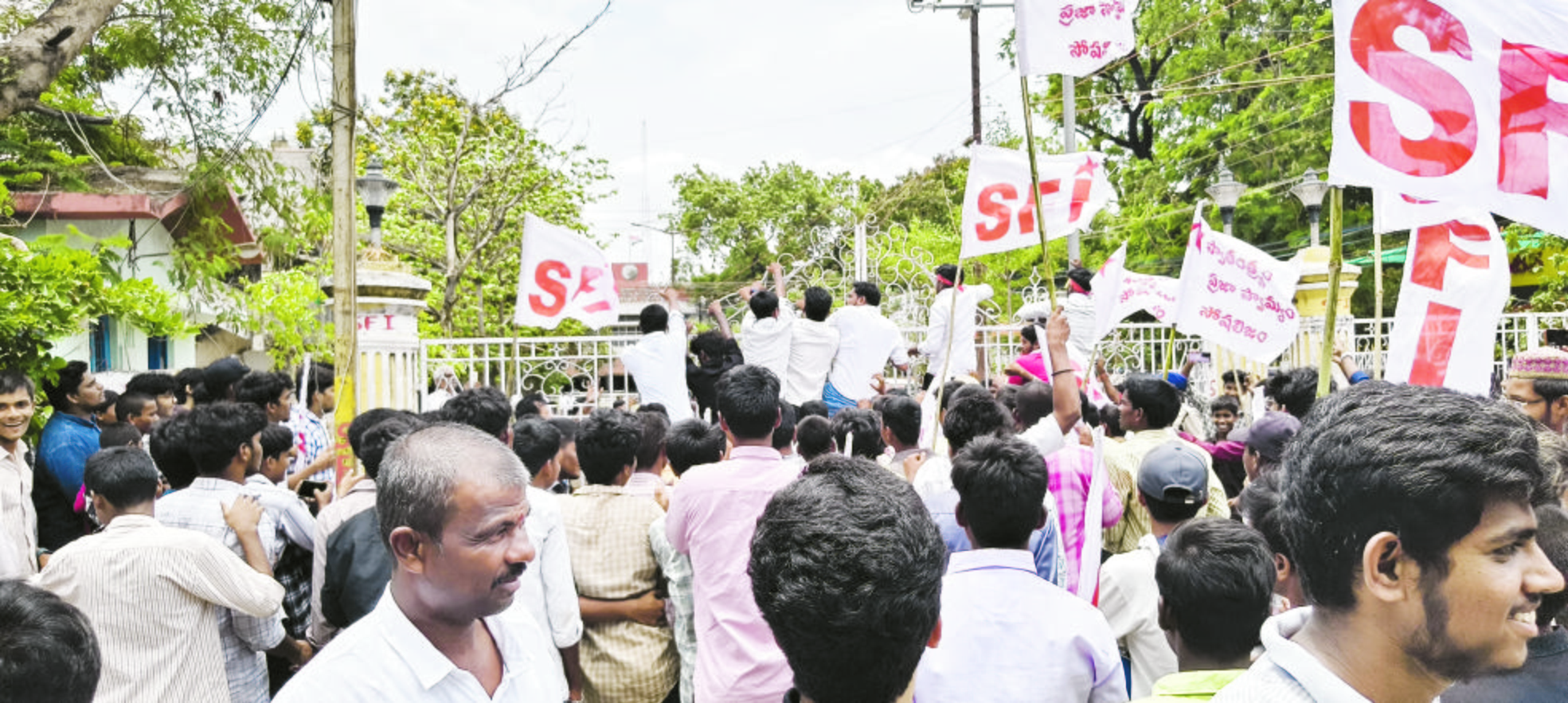 sfi