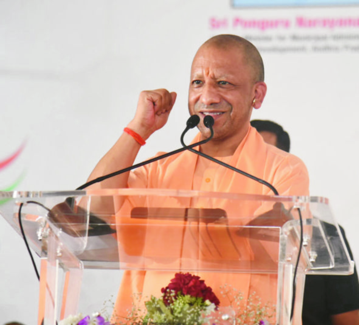 yogi