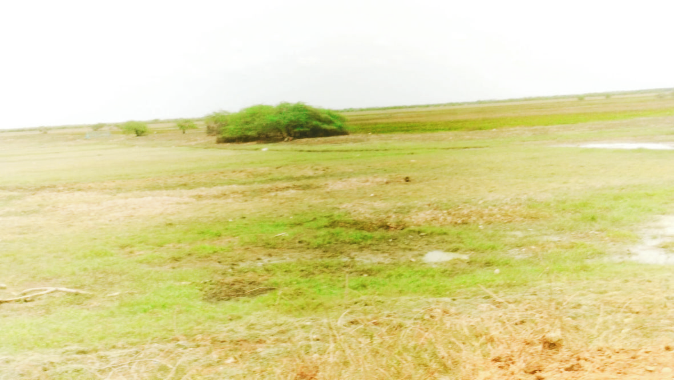 land