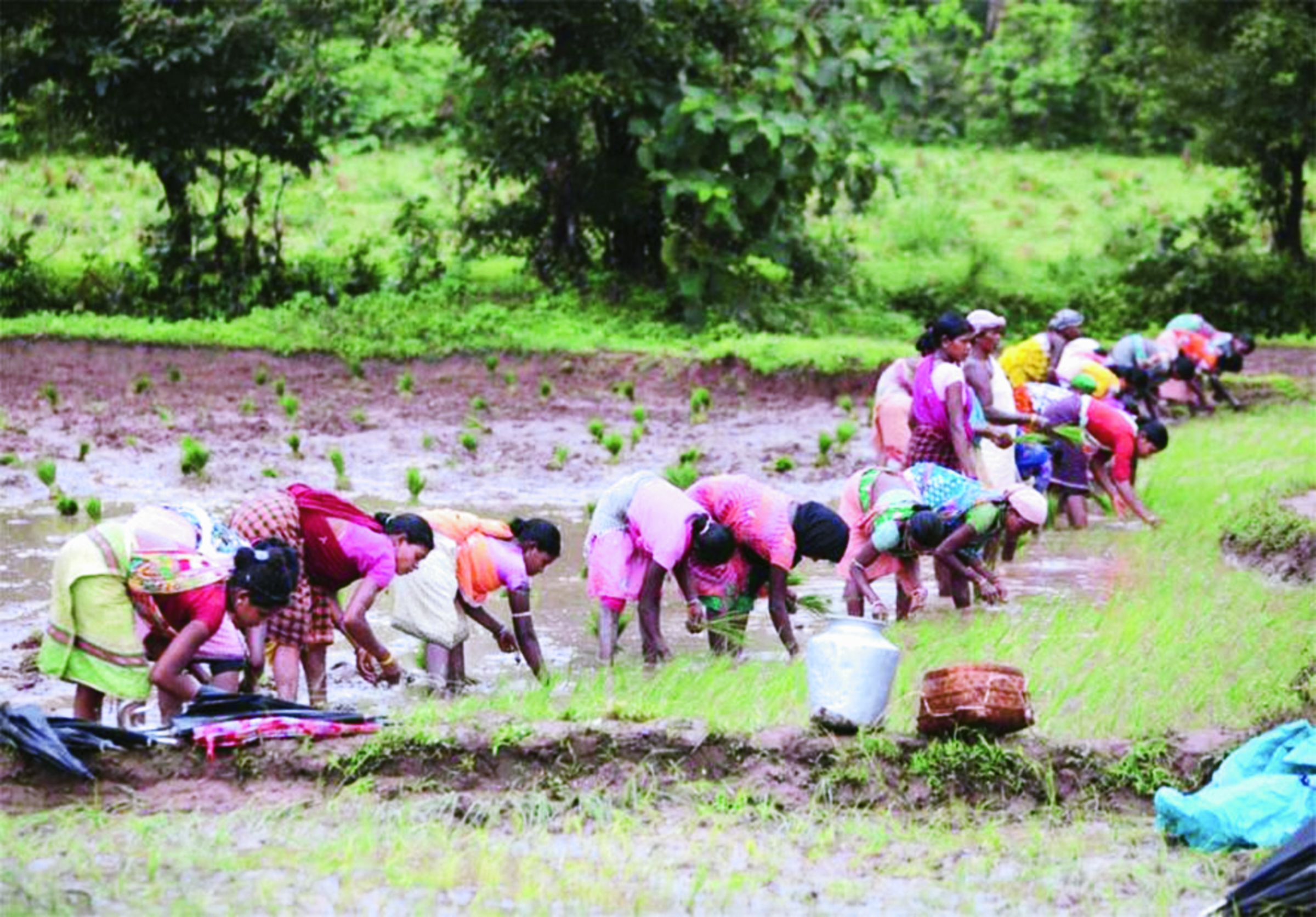 agri workers
