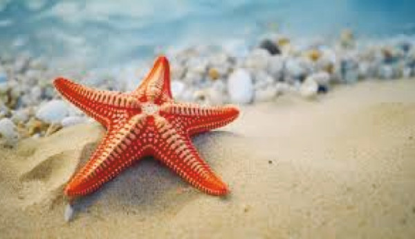 The ocean... the foundation of life and livelihood.