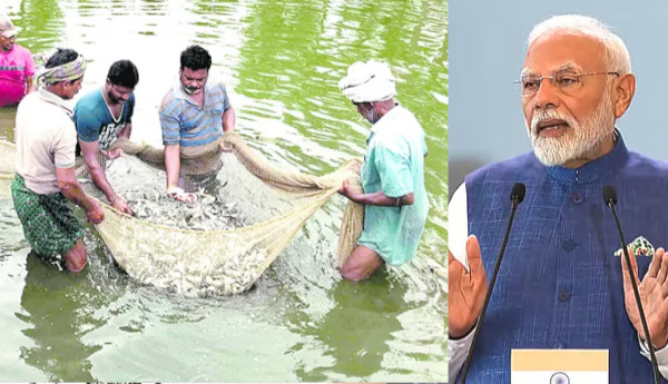 modi