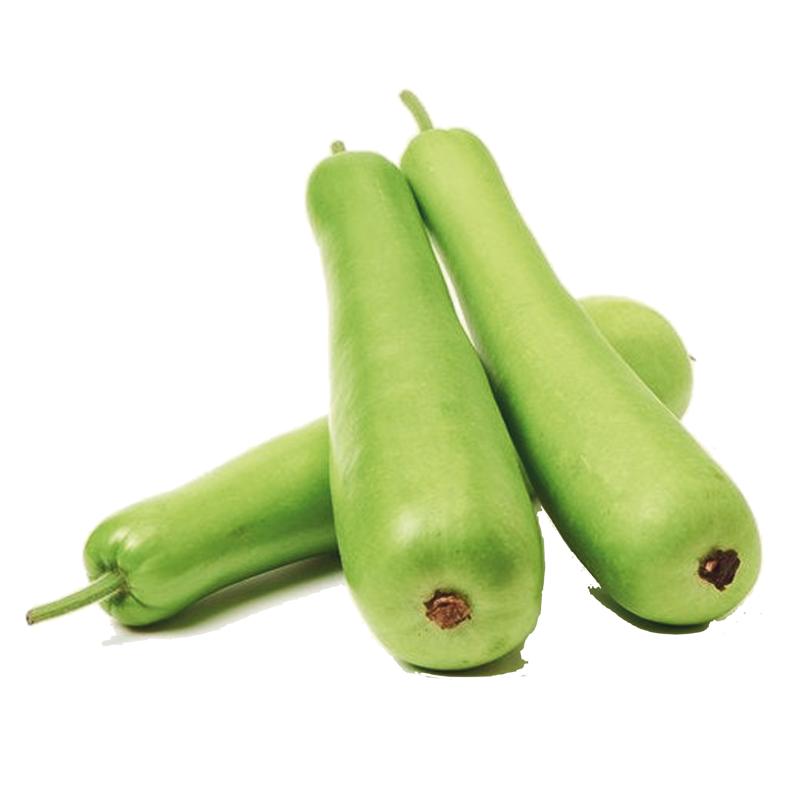 botel gourd.