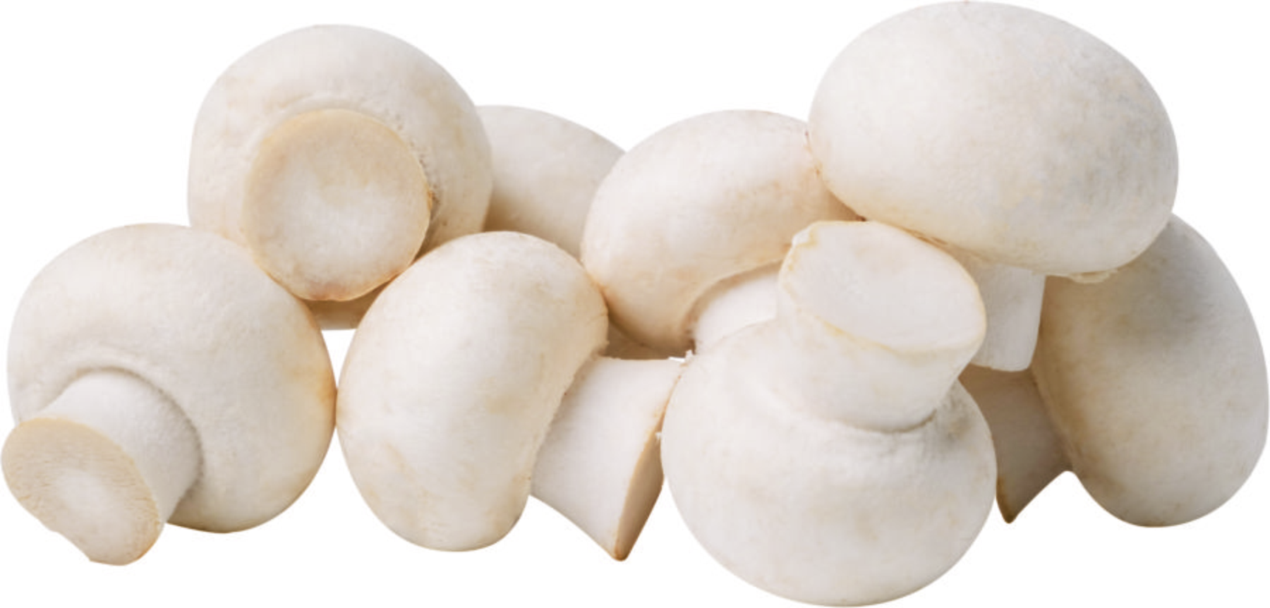 button-mushroom