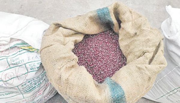 ఖరీఫ్‌‌ సాగు వేళ…గ్లైసెల్‌ ‌తంత్రాంగం!