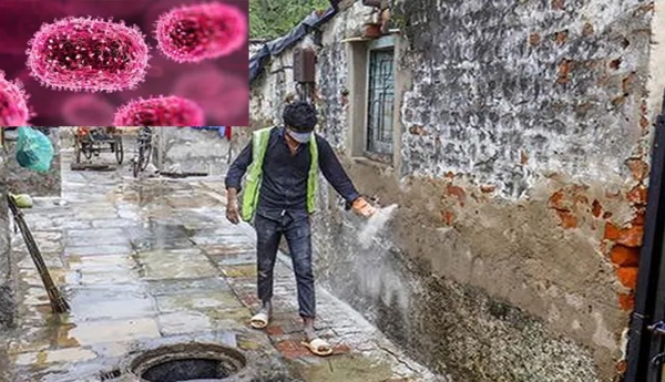 chandipura virus
