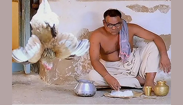 ముక్క తినడం కష్టమే..! ఆకాశాన్నంటిన చికెన్ ధరలు ..!
