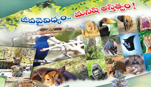 animals