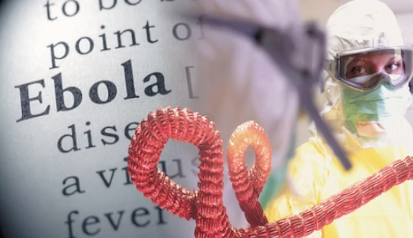 Ebola - Public Health Emergency: WHO