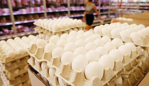 Impact of intense heat – Egg prices rise..!