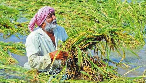 Farmers in North Andhra affected by the cyclone must be supported: CPI(M)