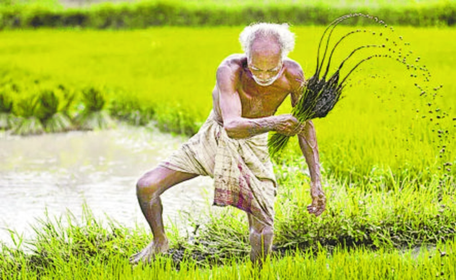 farmers