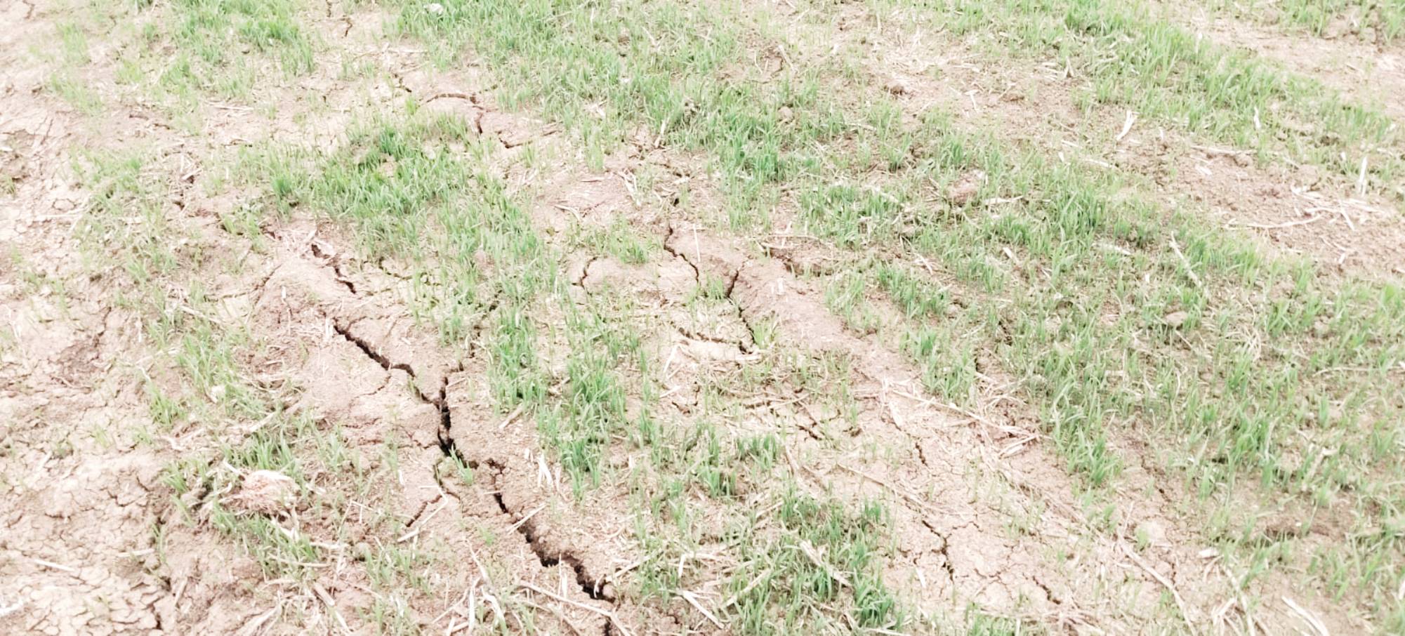 farm land