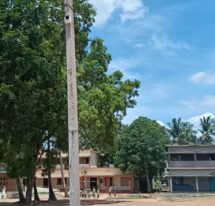 schools