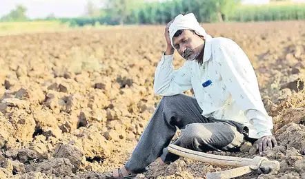 farmer
