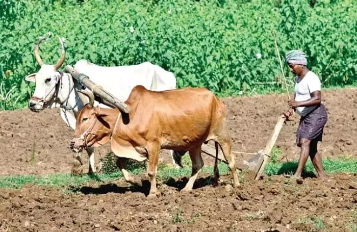 rythu sangham