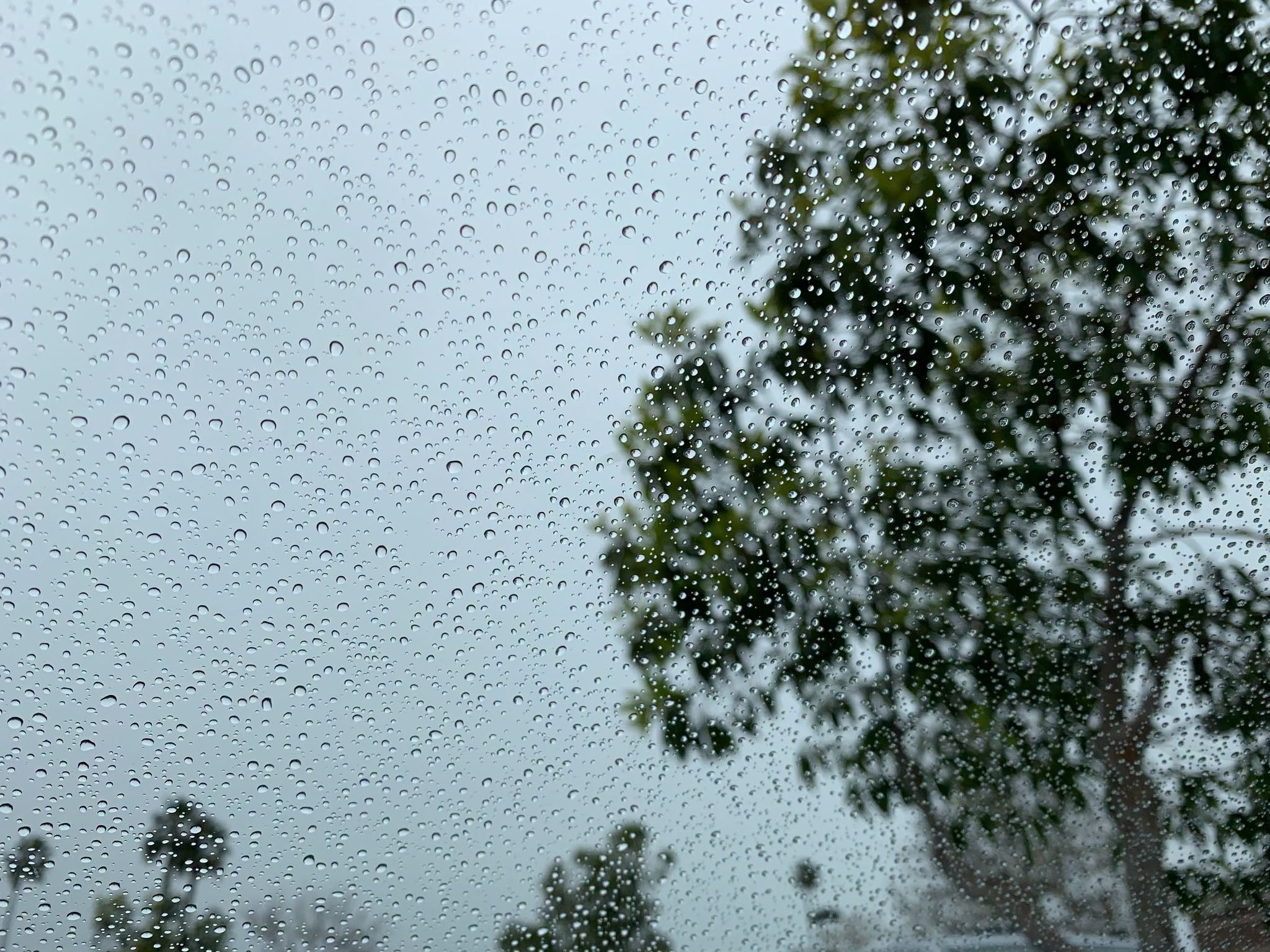 rains