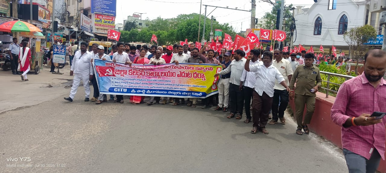 nellore