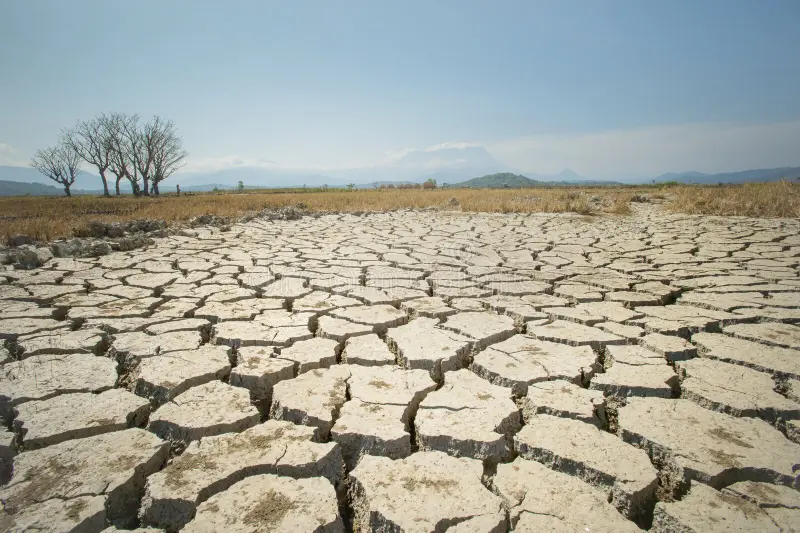 no rains