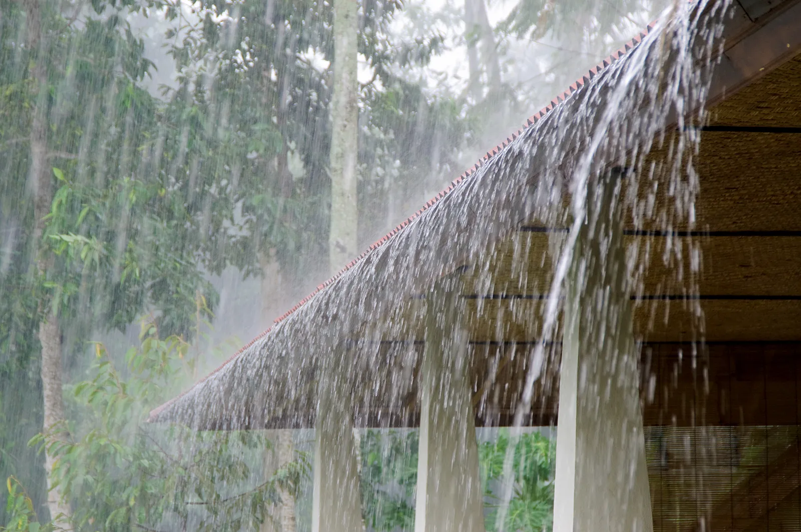 rains