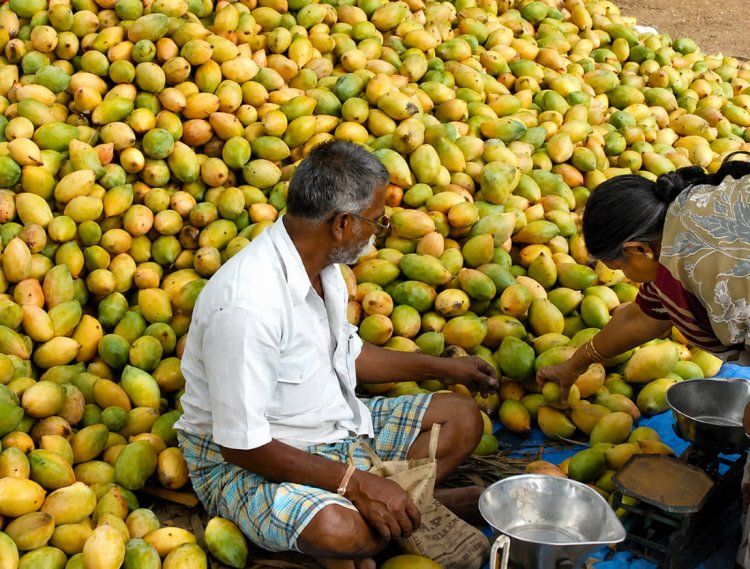 mango