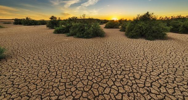drought