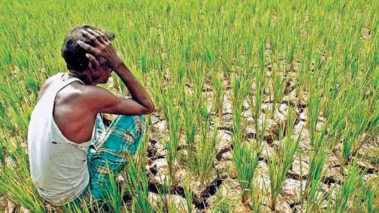 agri