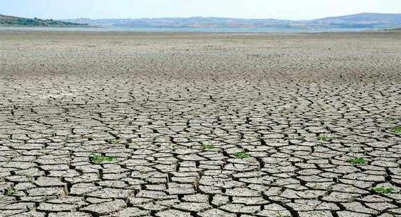 drought